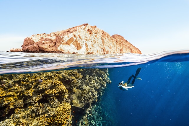 Plongée sous-marine dans le sud de la France : Les meilleurs spots à découvrir